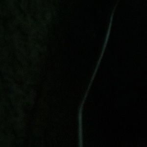 Meet your Posher, Mia